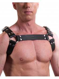 Harness GILLES Croupon